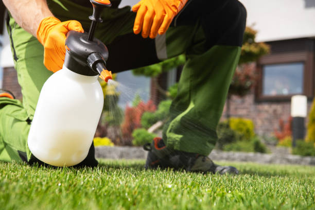 Best Wildlife Control Services  in Haslet, TX