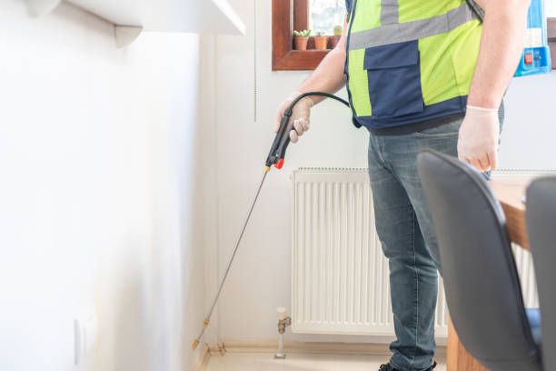 Best Affordable Exterminators  in Haslet, TX