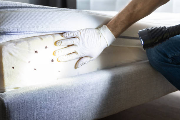  Haslet, TX Pest Control Pros